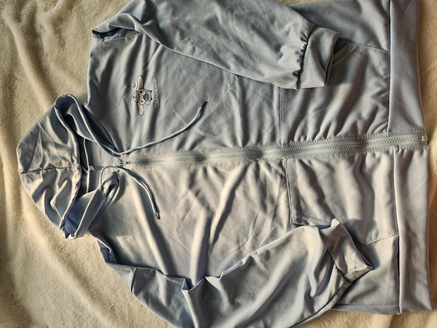 Light Blue Cinnamoroll Zip-Up Hoodie