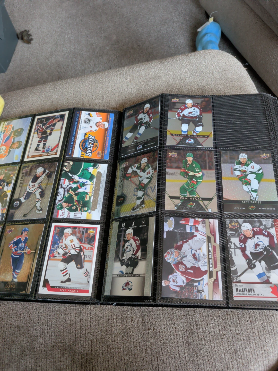 Hockey Trading Card Collection Binder - photo 2