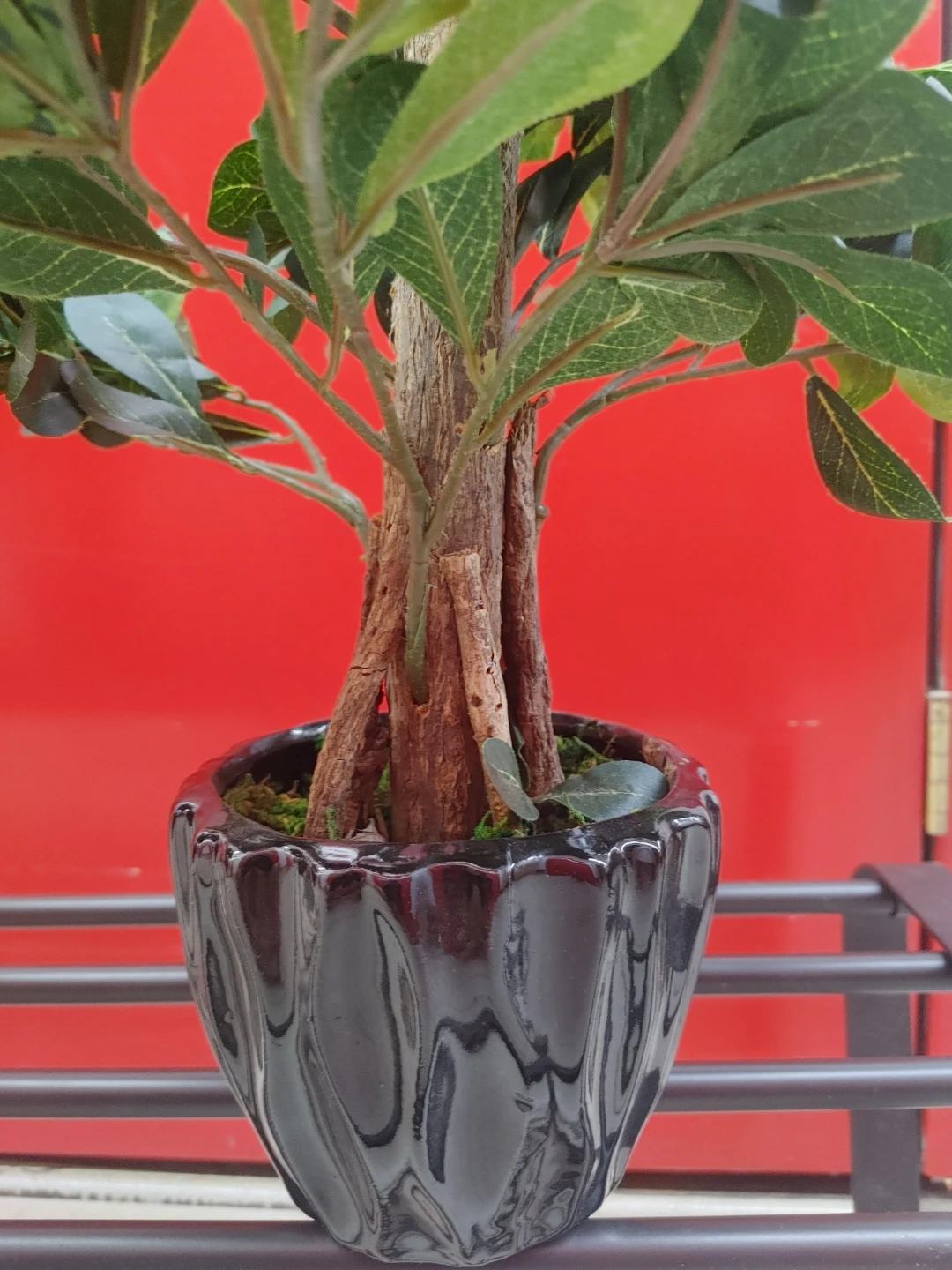 Artificial Ficus Tree in Black Pot - photo 3