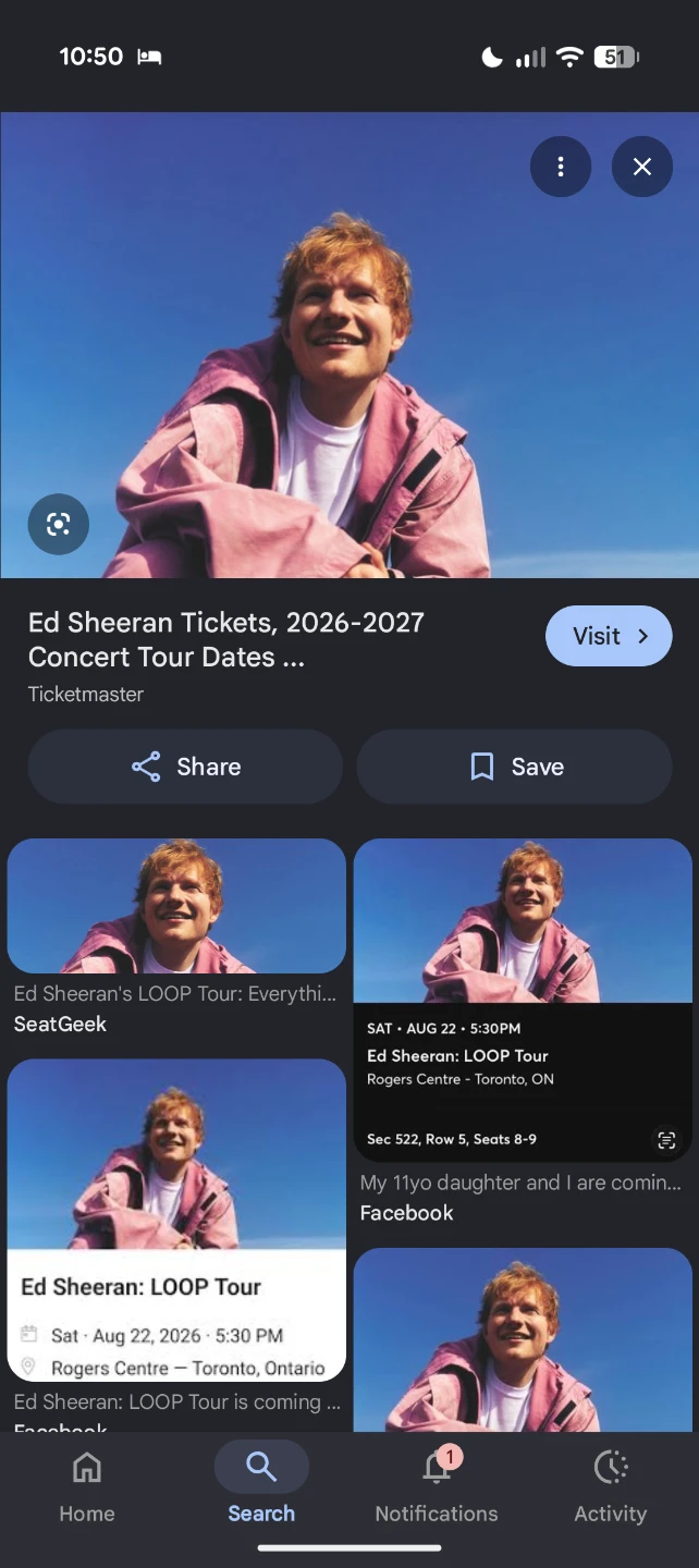 Ed Sheeran concert