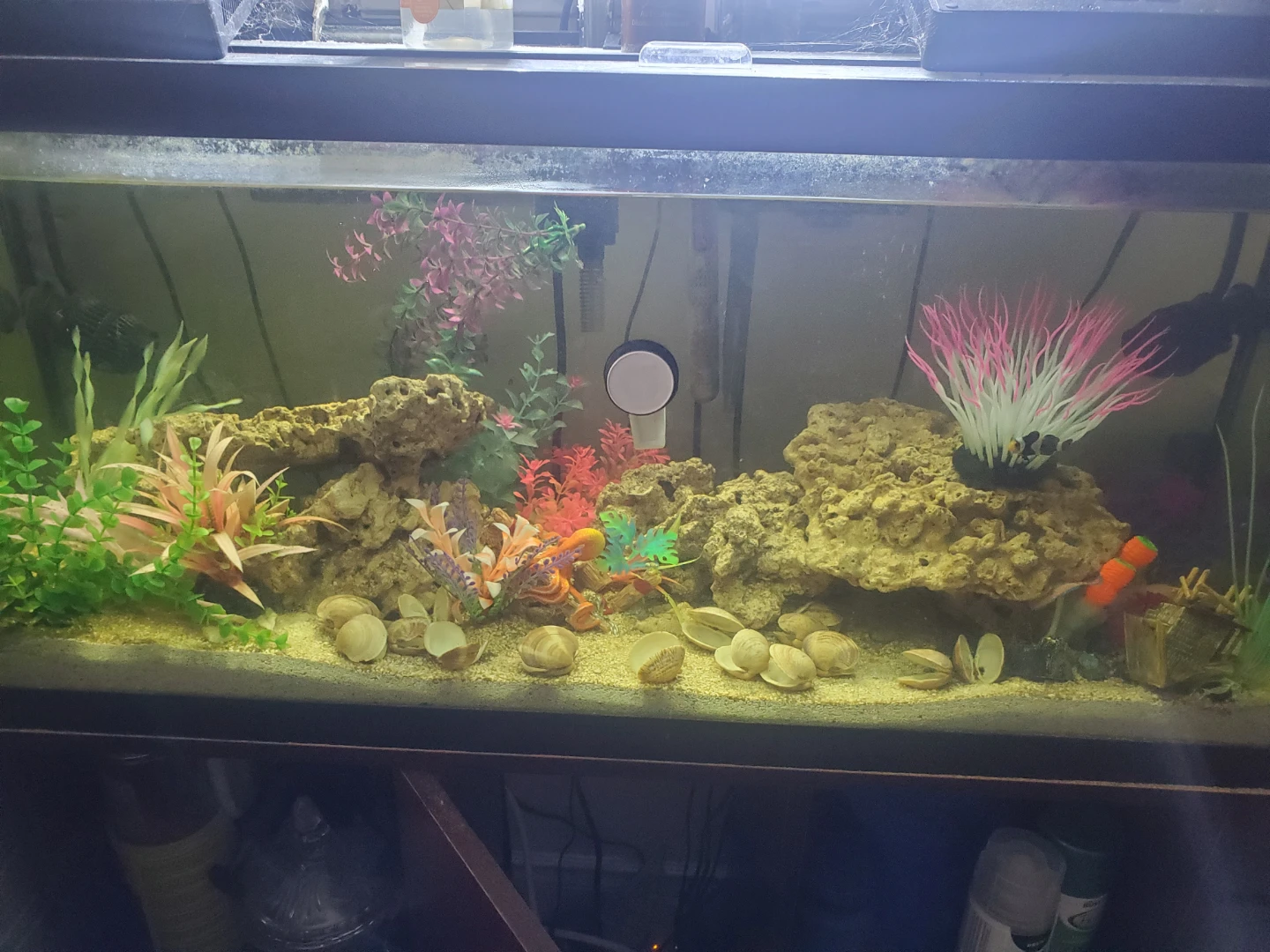 Fish tank size medium