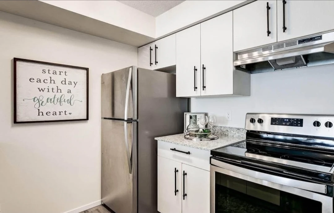 2 beds 1 bath apartment in Rutherford - photo 2