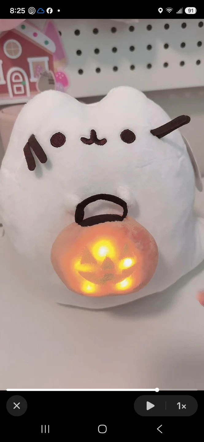 Pusheen