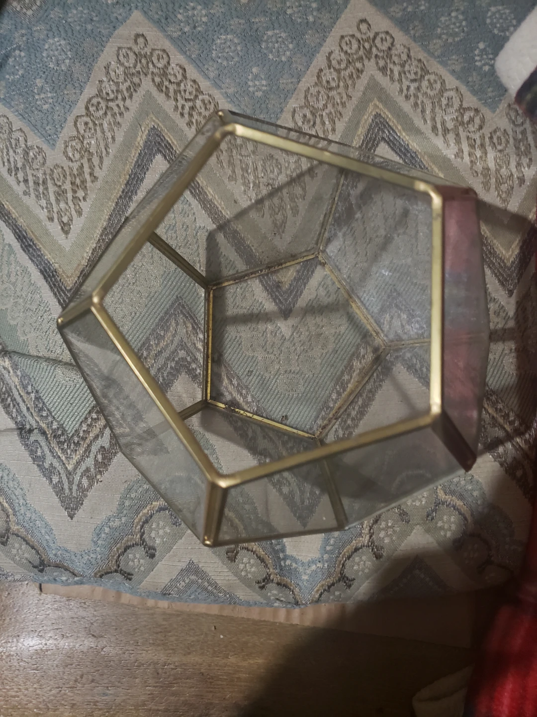 Geometric Terrarium