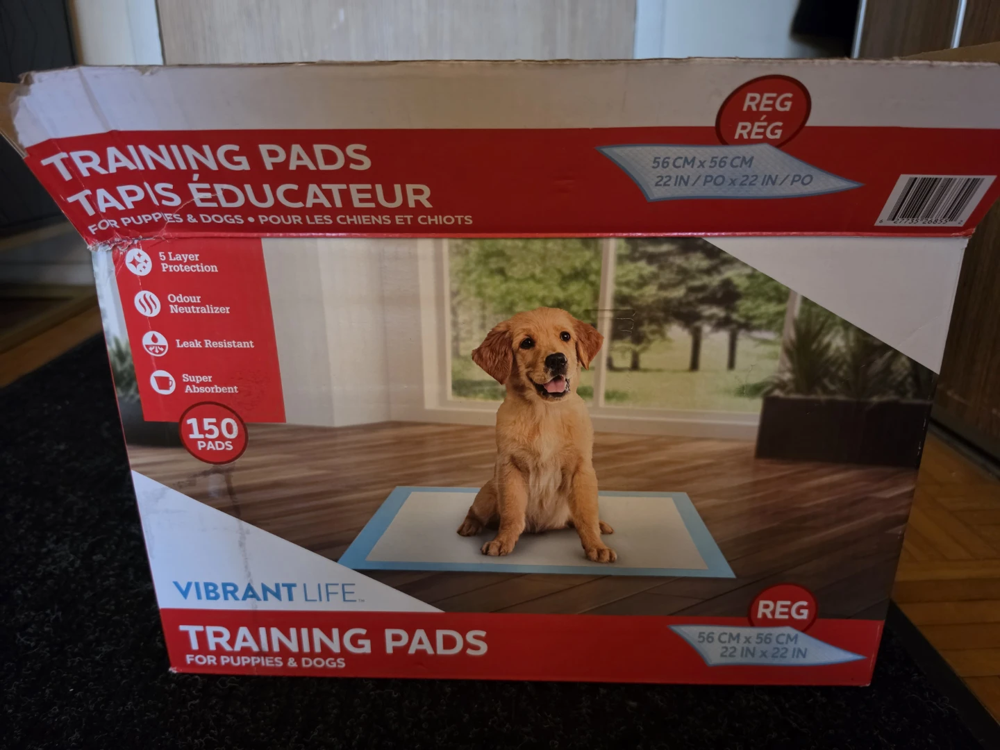 dog training pads