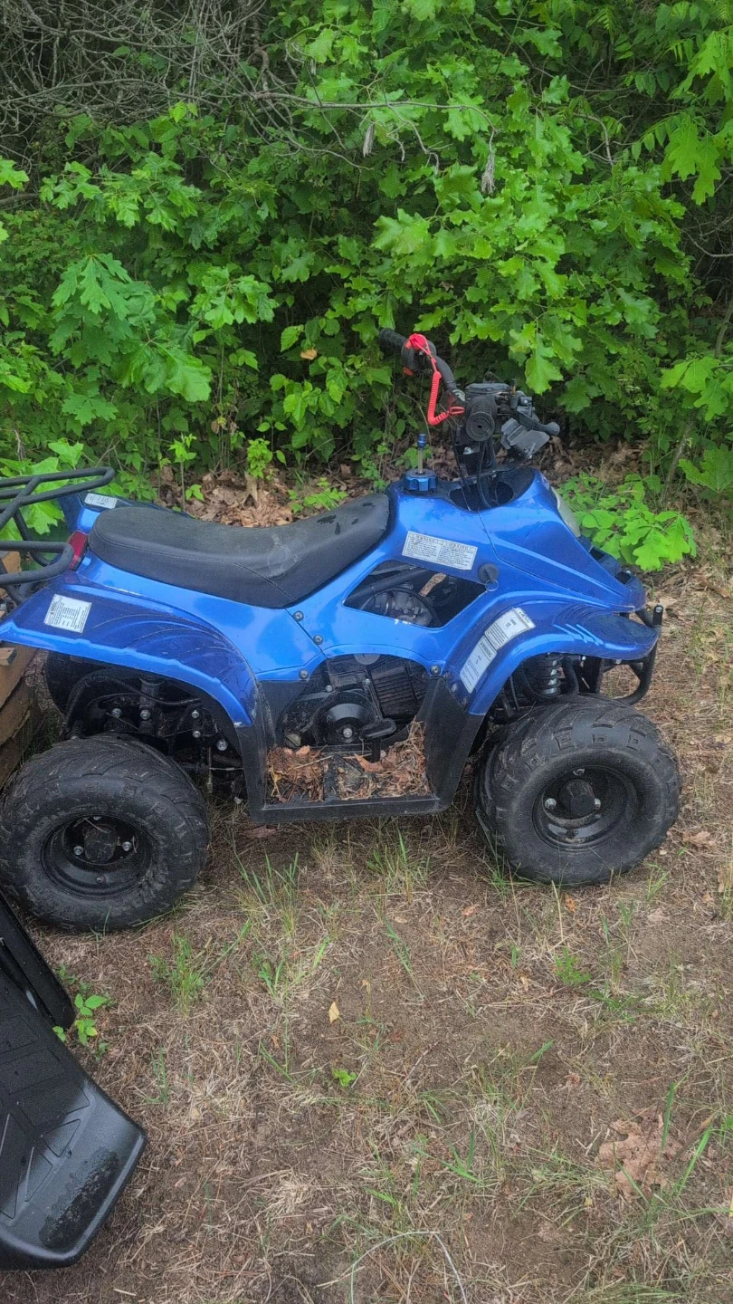 110cc Tao Tao atv buy or trade
