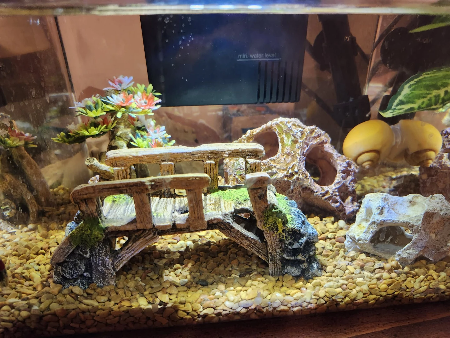Top Fin Fish Bundle - photo 2