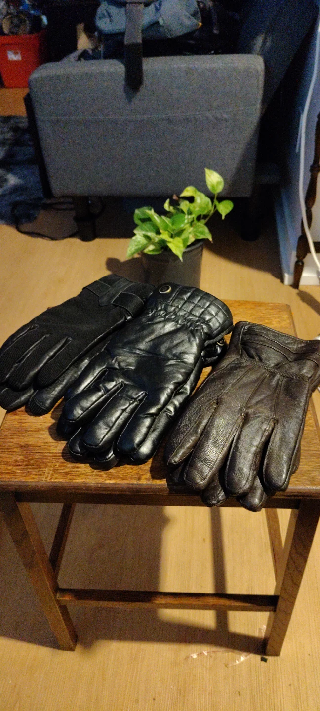 Three Pairs of Gloves
