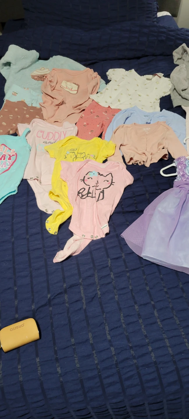 Carter's baby girl clothing bundle 9 months