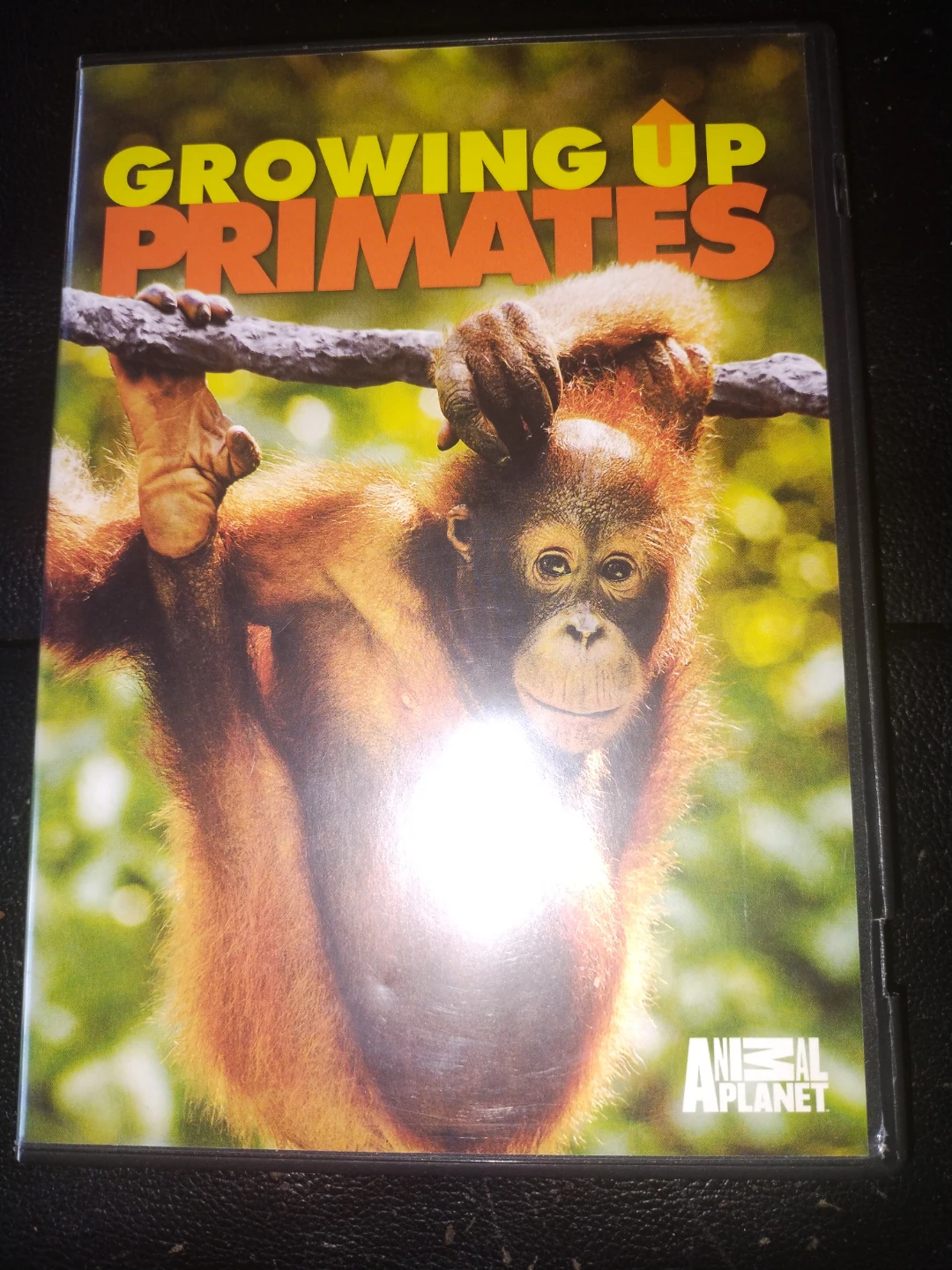 Growing Up Primates DVD Animal Planet