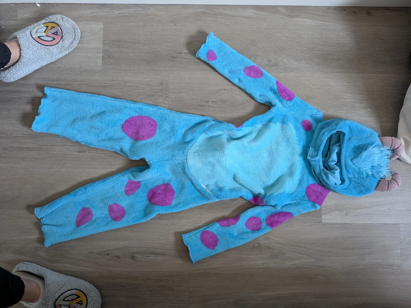 Sully Costume (Monsters Inc) - photo 2