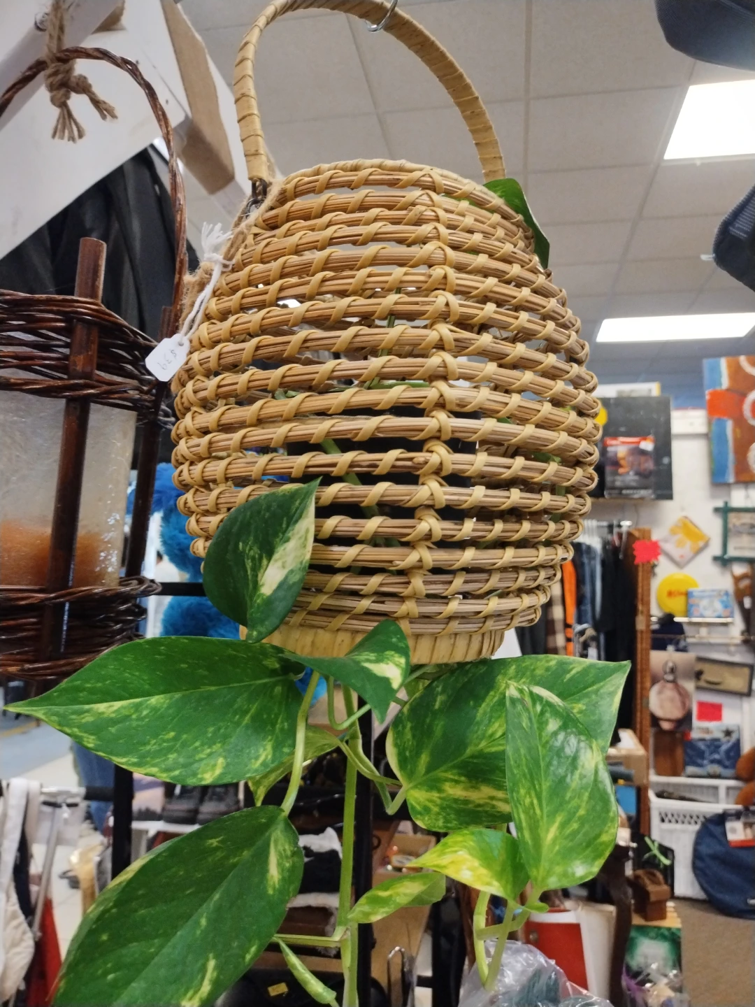 Wicker Hanging Basket Planter - photo 2