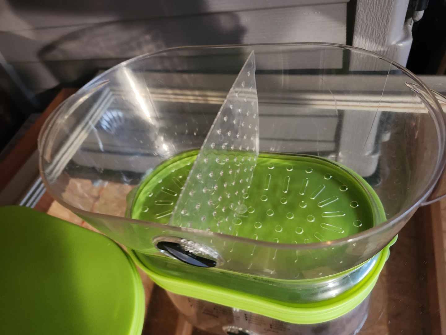 Progressive Produce Saver Container - photo 5