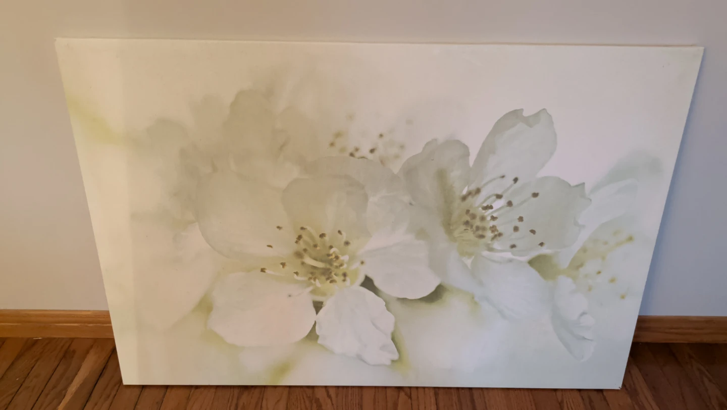 Canvas Print - White Floral Art