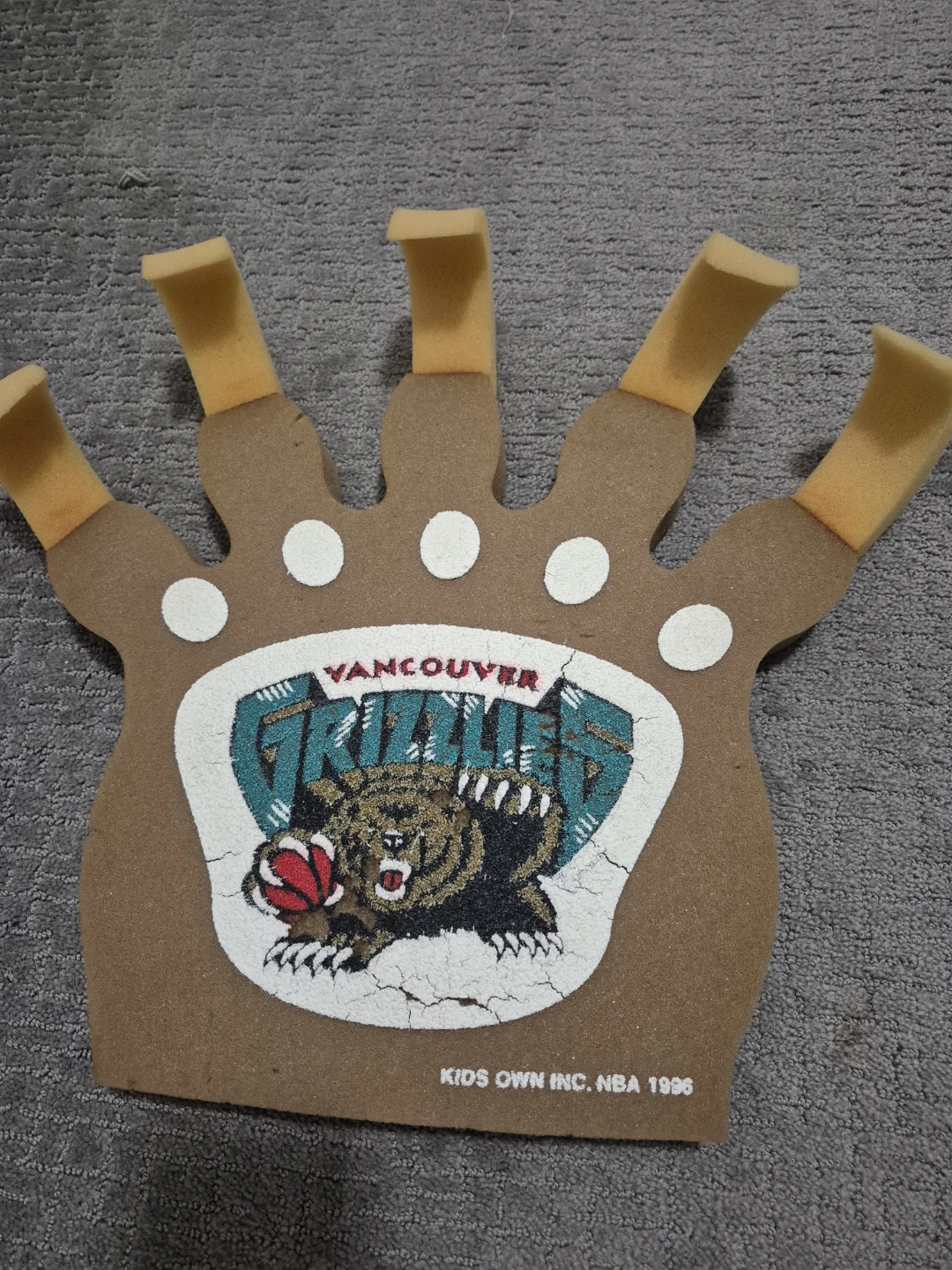 Vancouver Grizzlies Bundle - photo 3