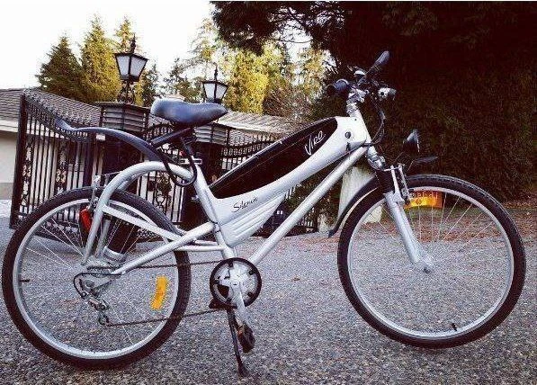 Viro sport Electric bike Amazing eye catching Solid sport E-bike
