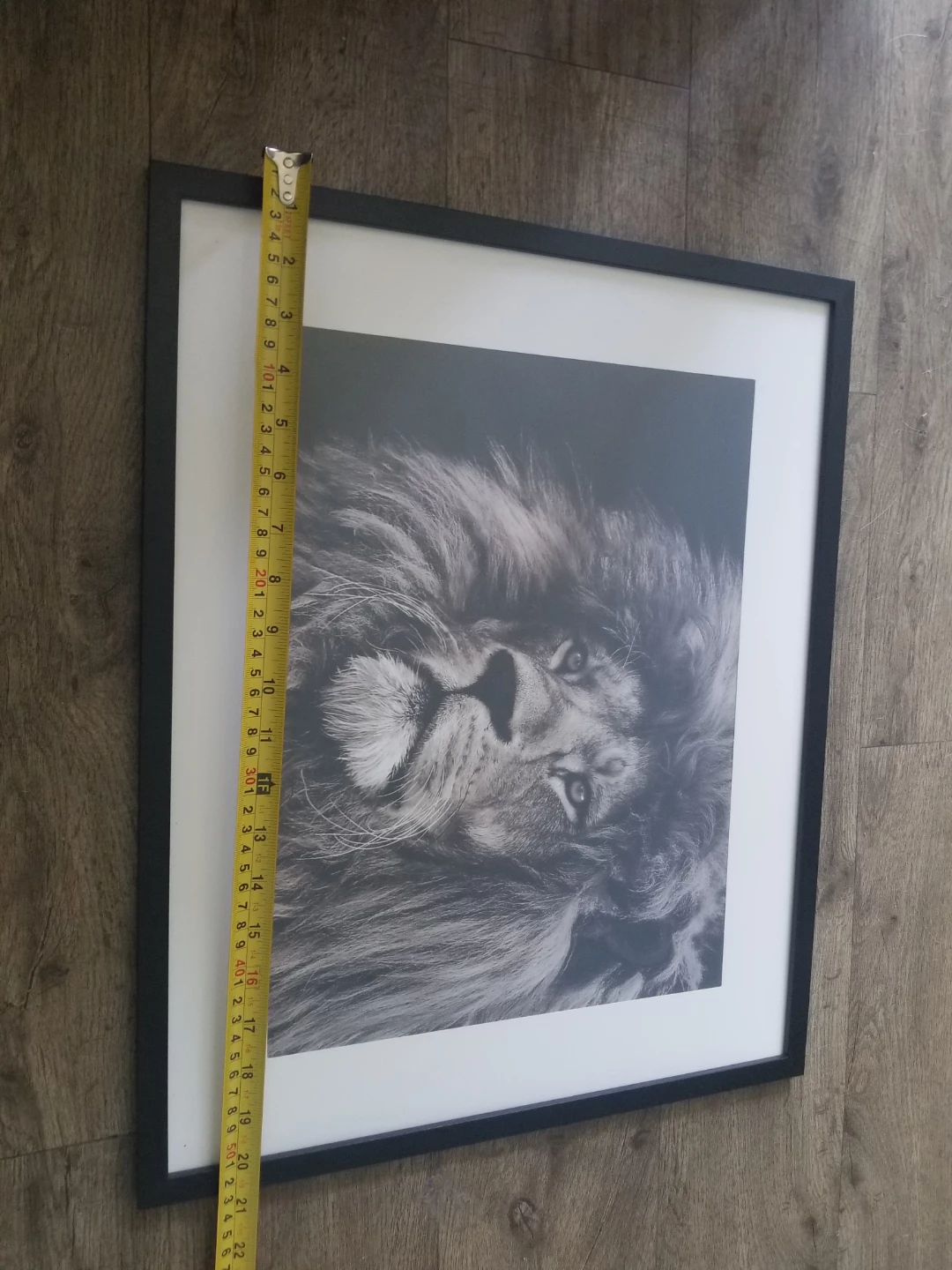 Framed Lion Wall Art Print Brand New - photo 2