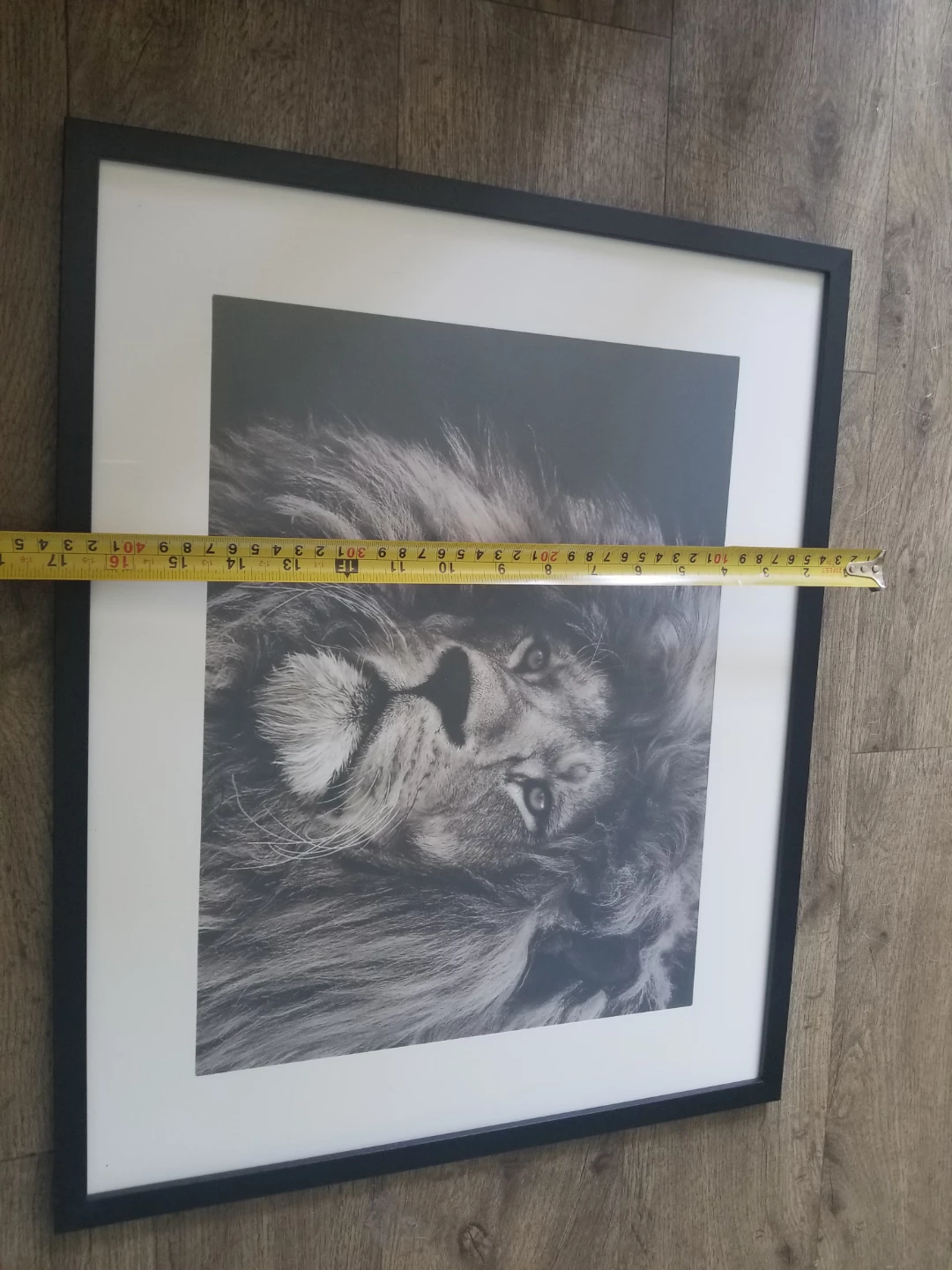 Framed Lion Wall Art Print Brand New - photo 3