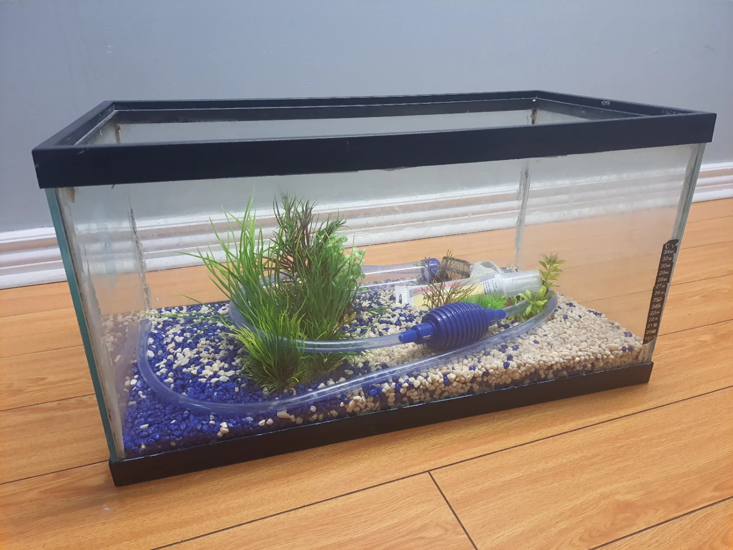 Fish tank + manual pump + ornaments