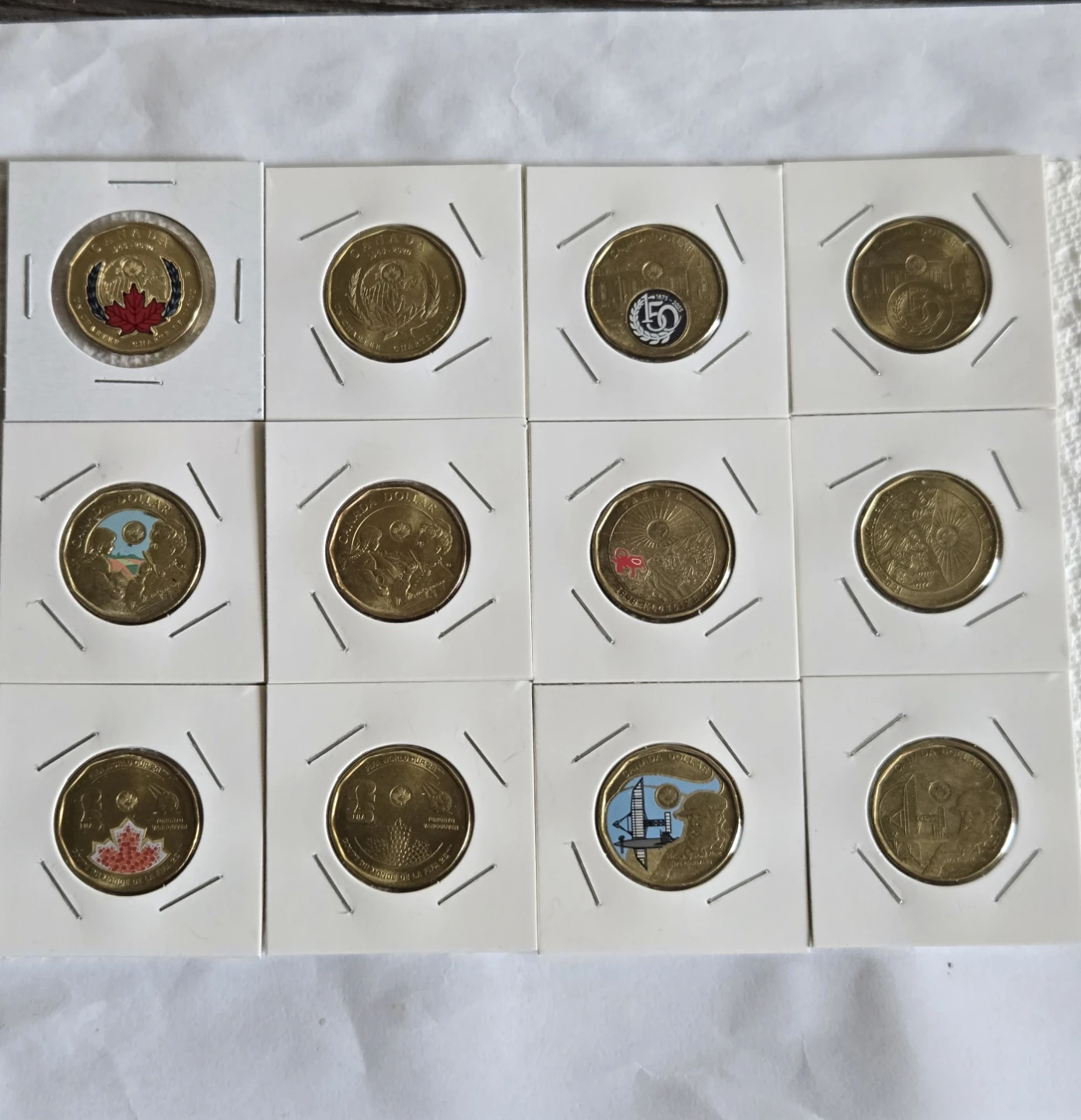 Collection of 12 Canadian Commemorative Loonie Coins