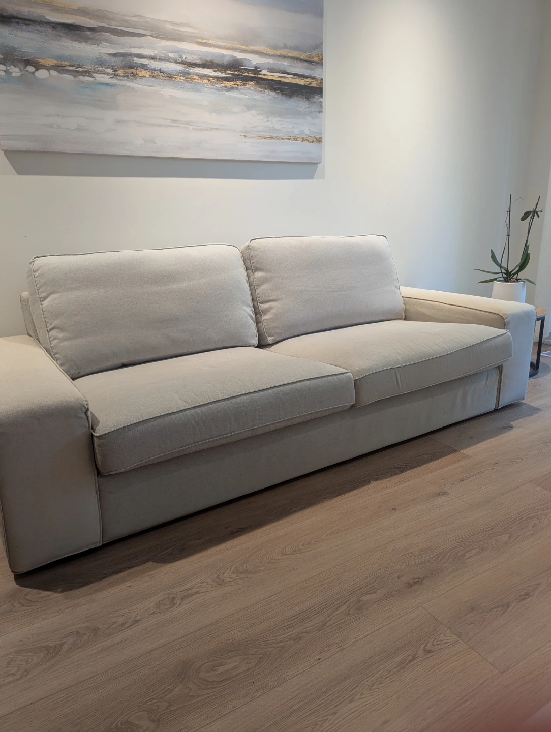 2 piece couch/sofa