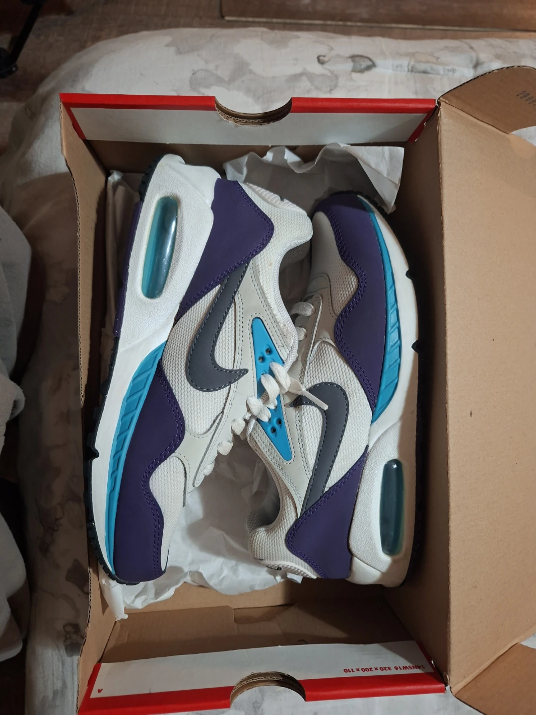 Nike Air Max Sneakers