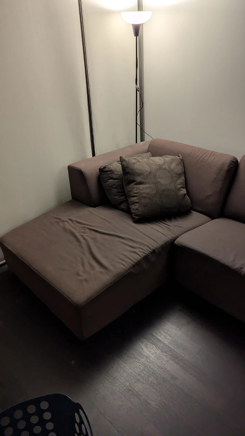 EQ3 Sectional Sofa and chaise - photo 4
