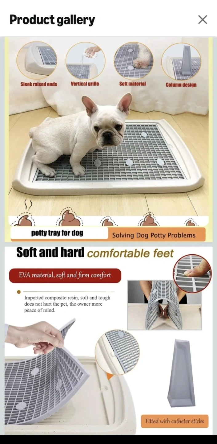 Indoor Dog Potty Training Tray - Medium
