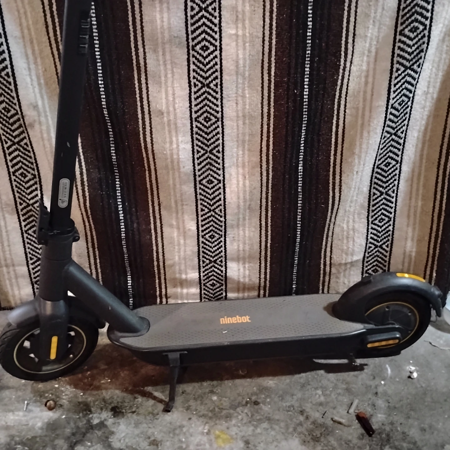 Ninebot Electric Scooter