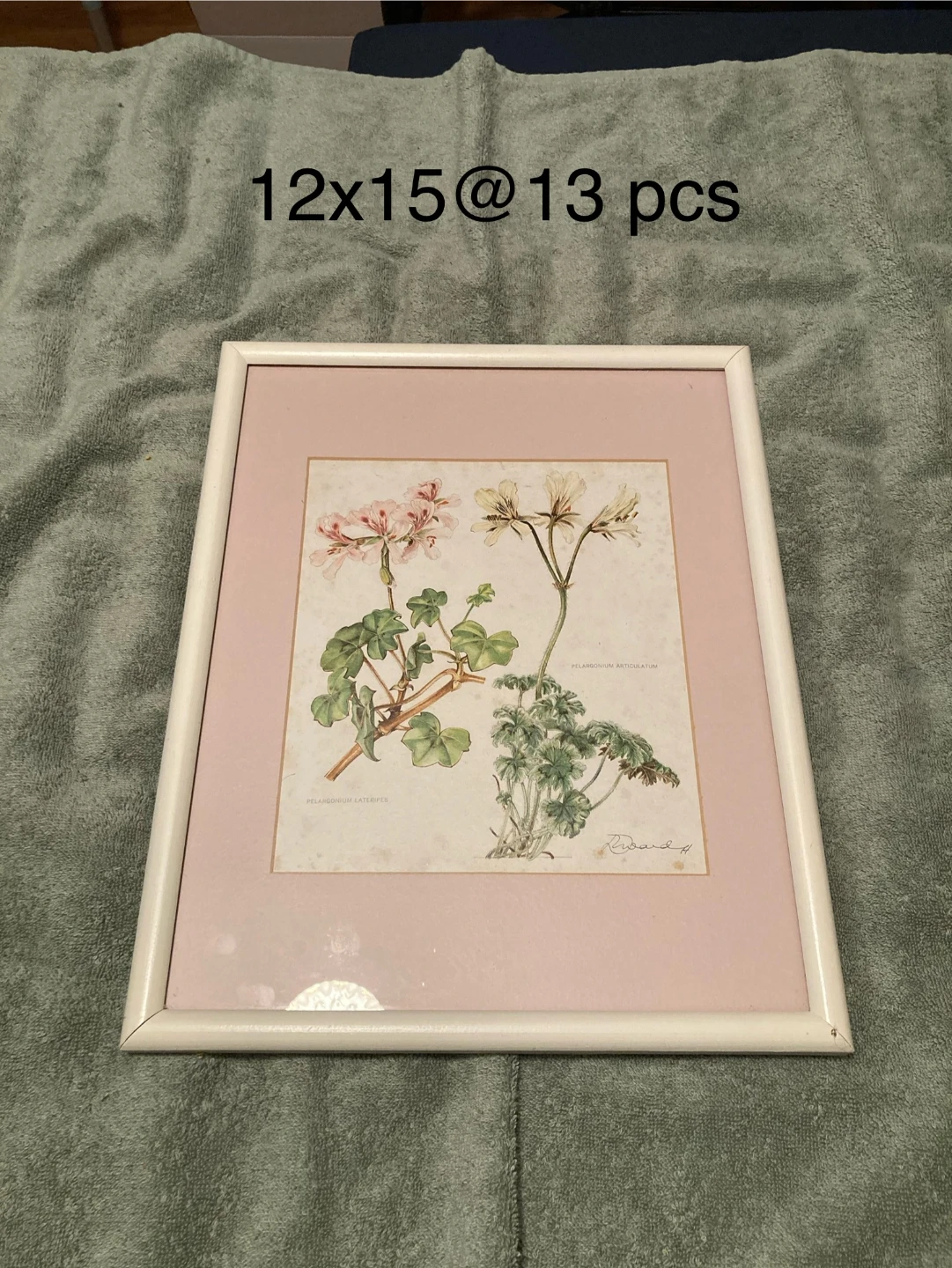 Framed Botanical Print - 12x15  13 pcs