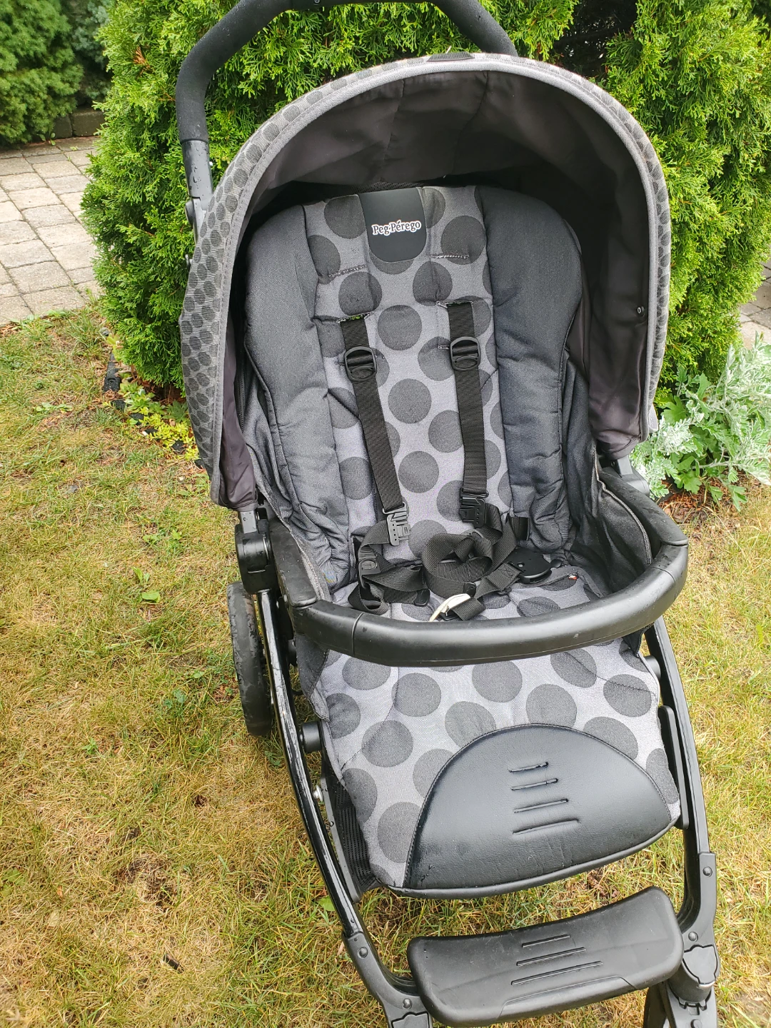 Peg Perego Baby Stroller - photo 3