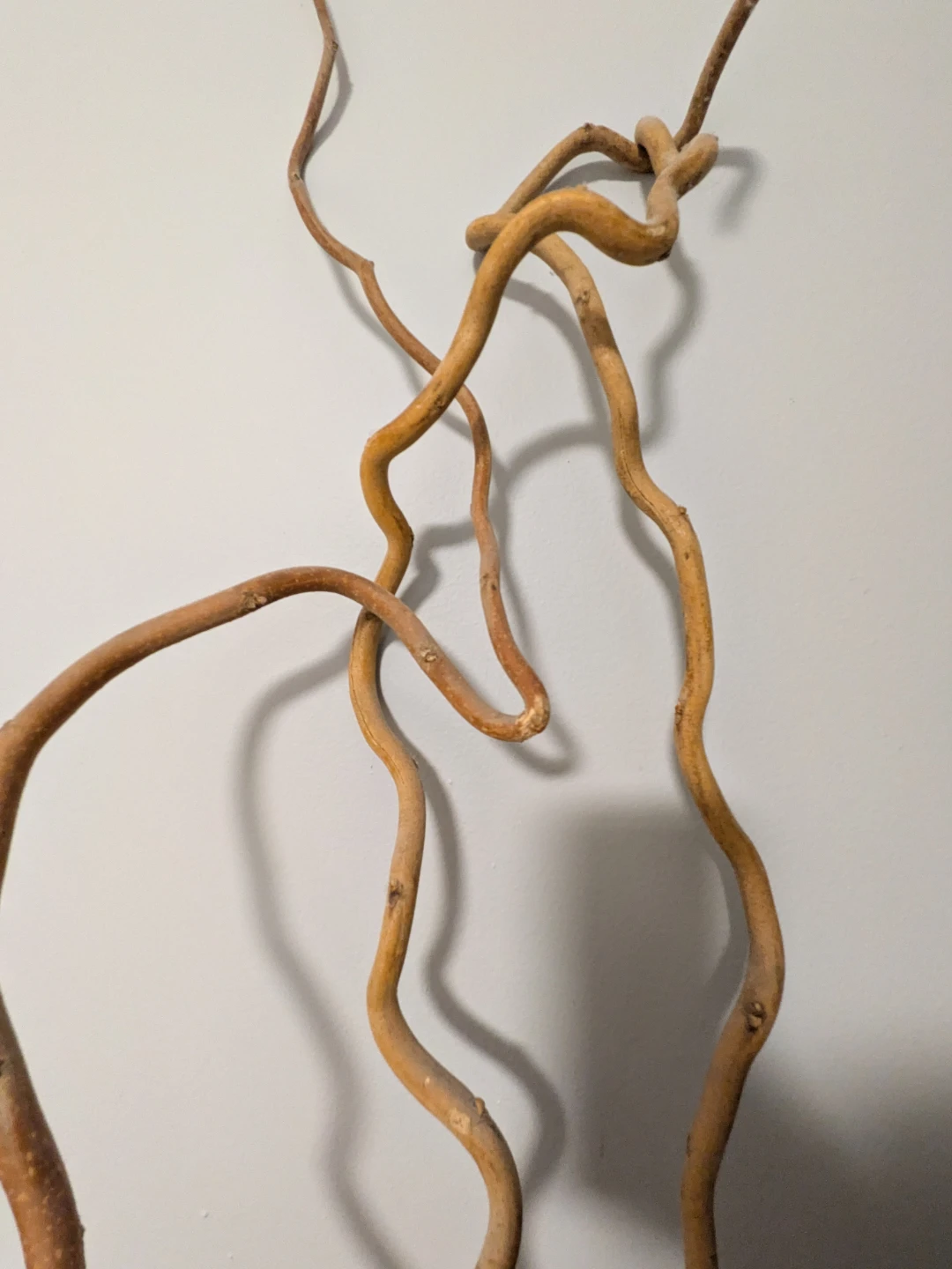 Natural Curly Willow Decorative Branches - photo 2