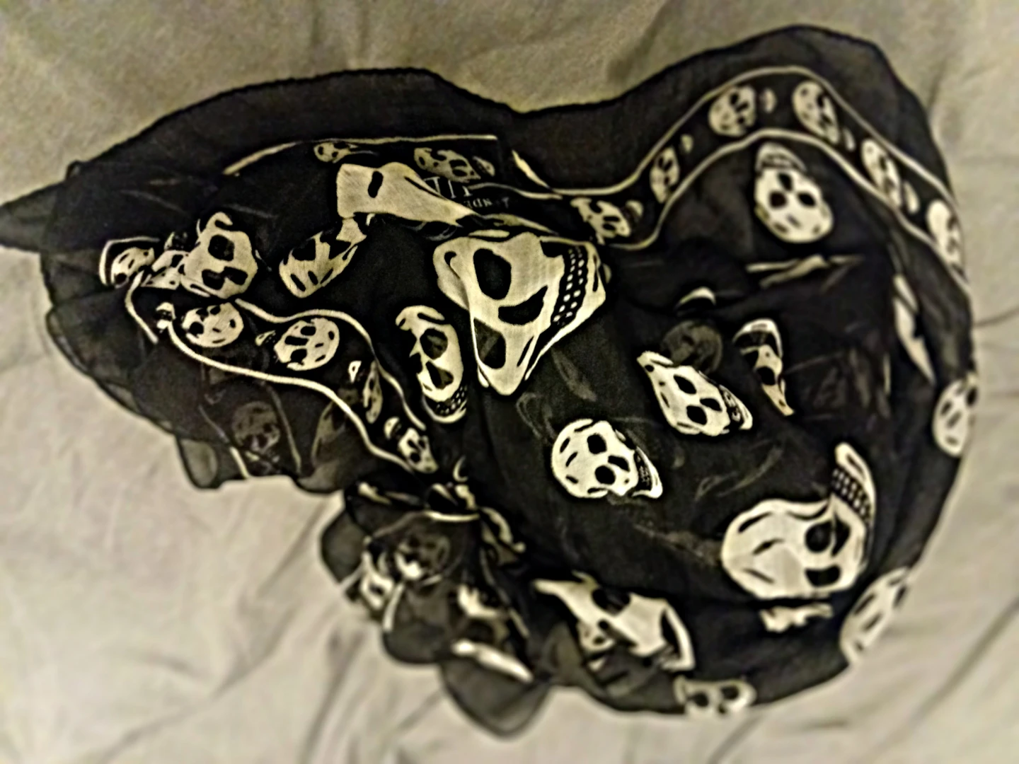 Alexander McQueen Skull Scarf