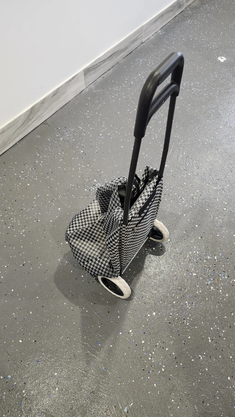 Wheeled Shopping Trolley Bag