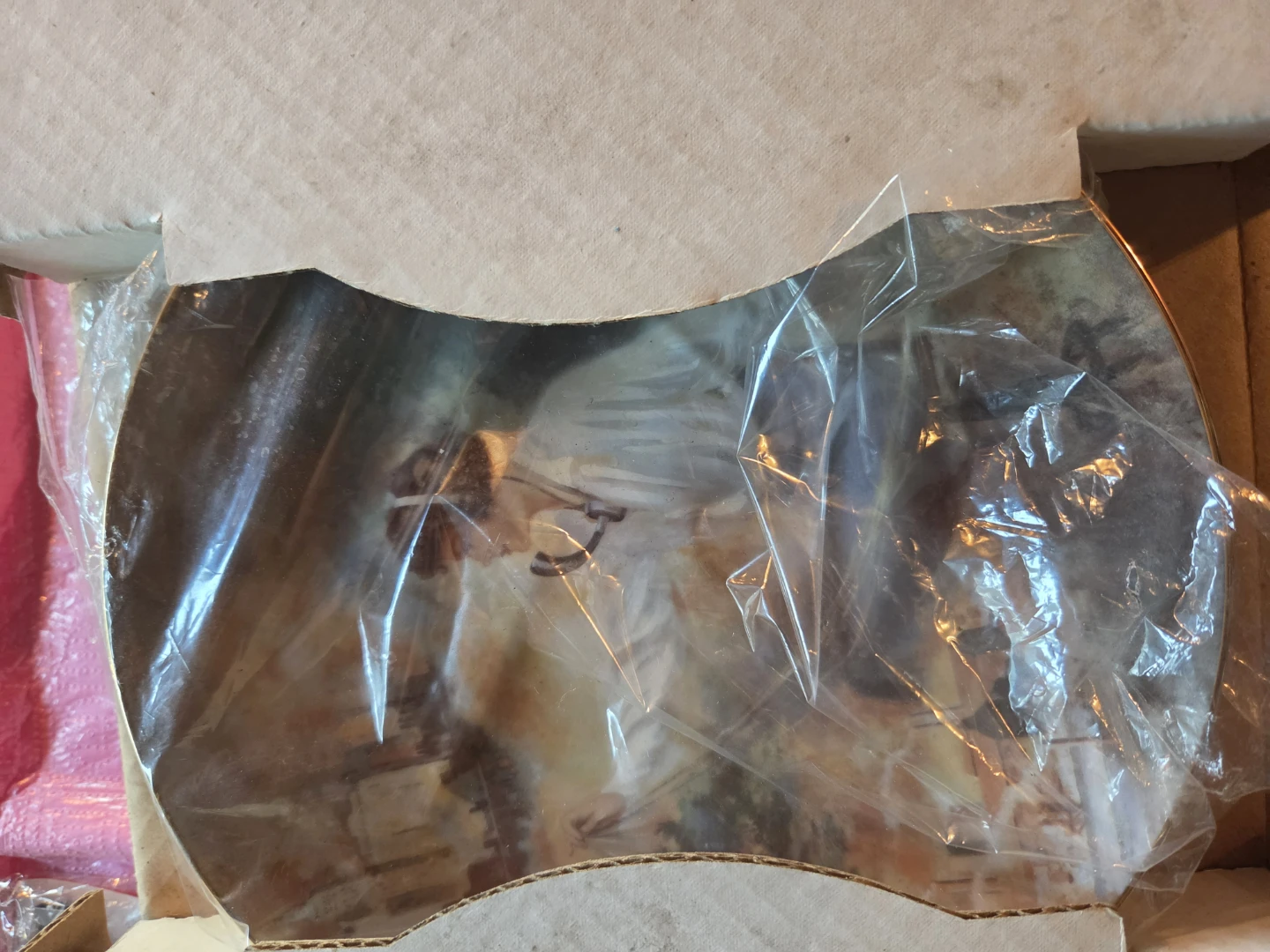 Decorative Collector Plate