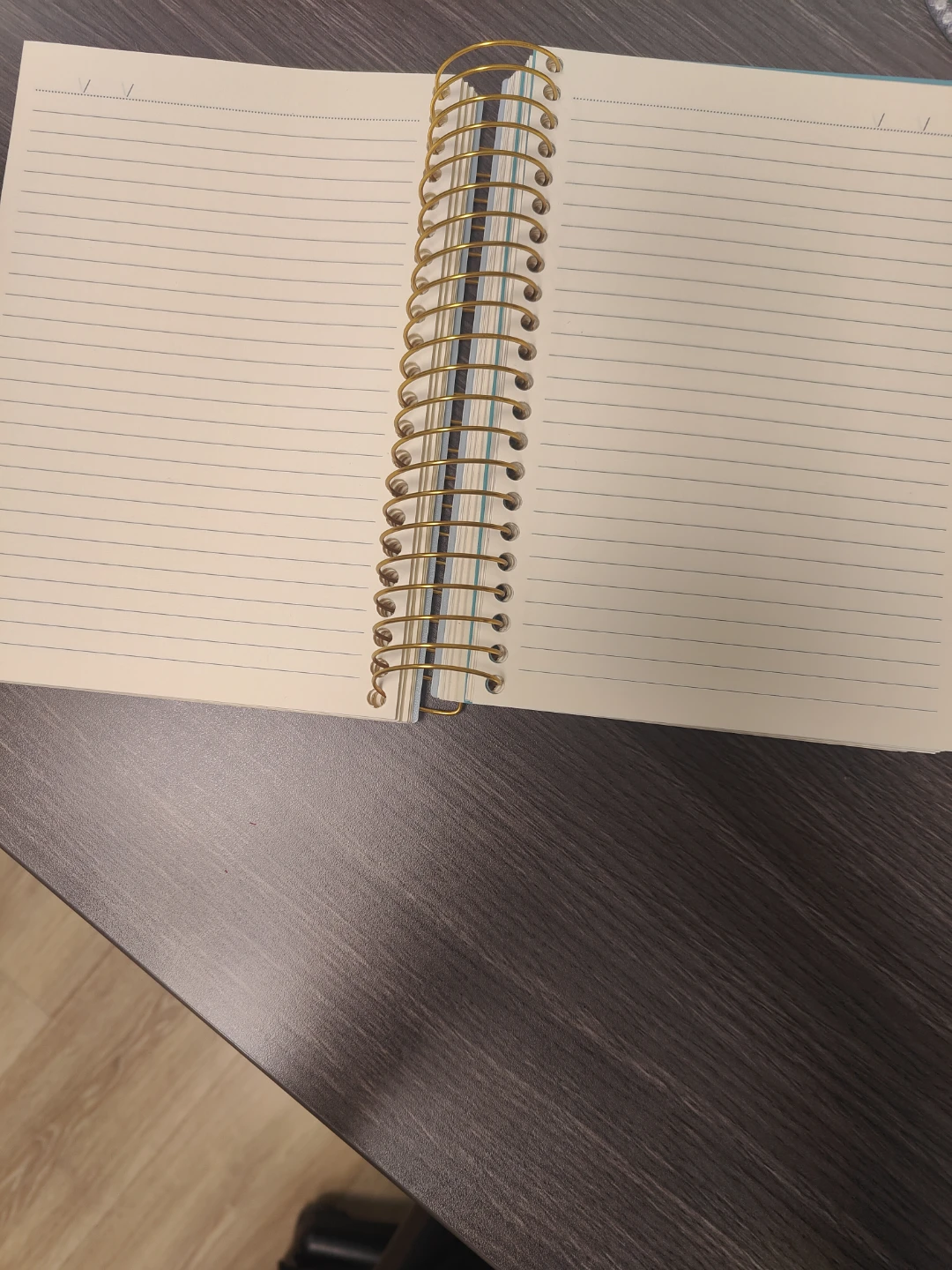 Firstline Jumbo Journal - photo 4