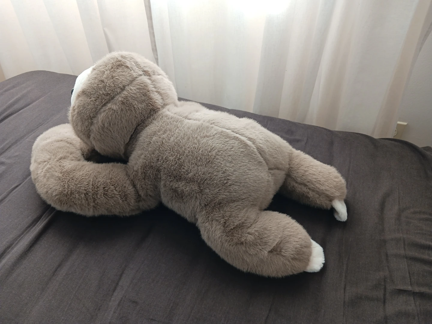 Plush Sloth Stuffed Animal - photo 4