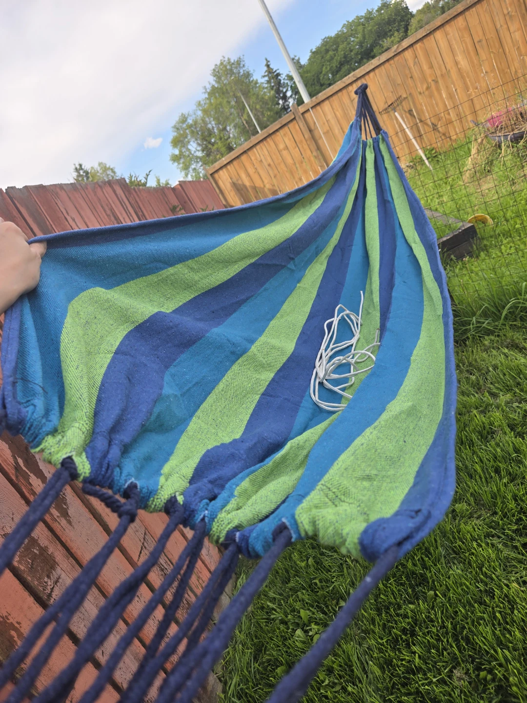 Basic Hammock