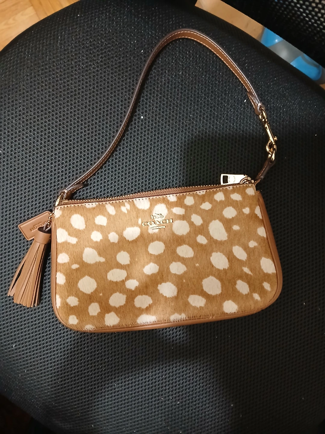 Coach Nolita 19