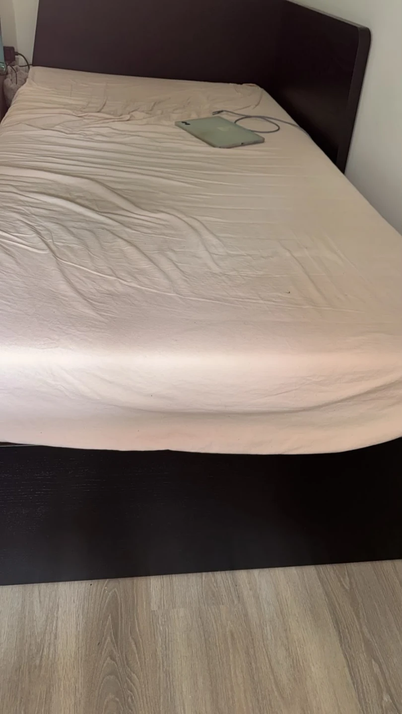 Daybed Bed Frame with mattress