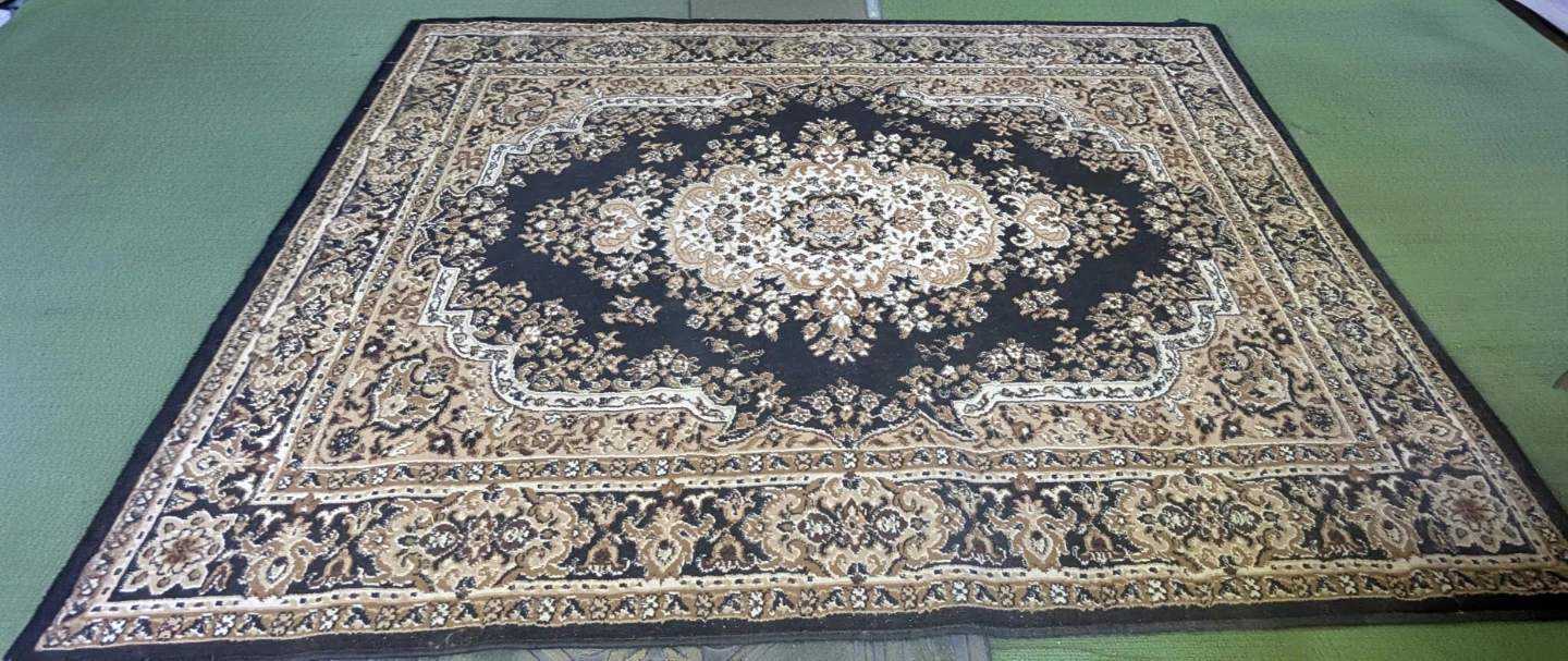 Free 6' x 8' indoor carpet - SOLD!