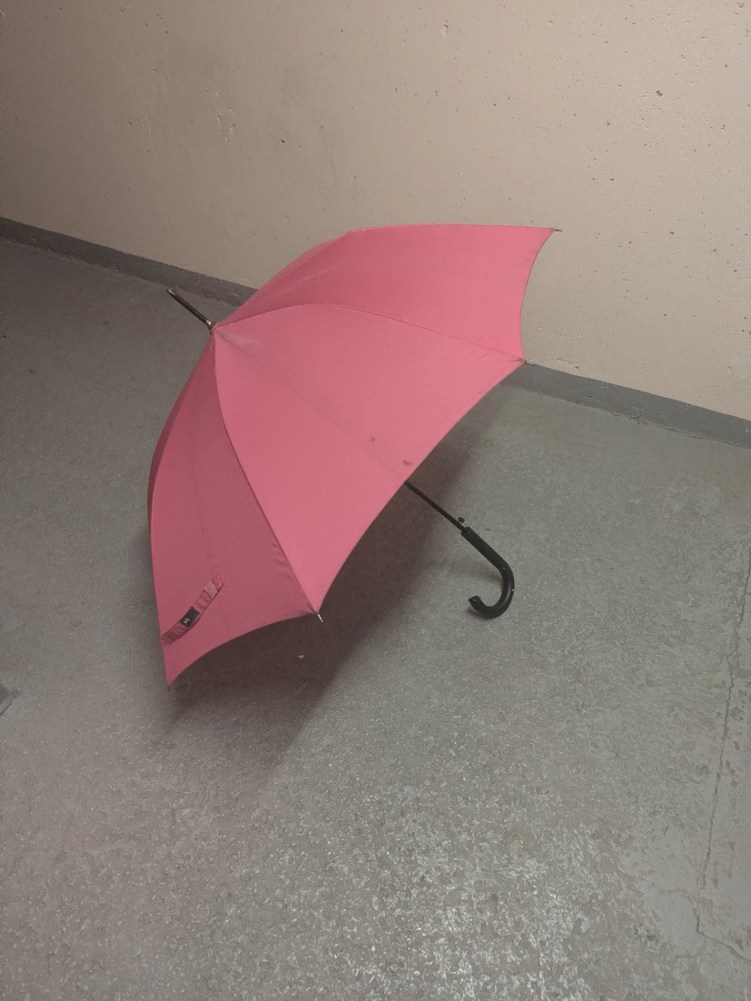 Pink Umbrella