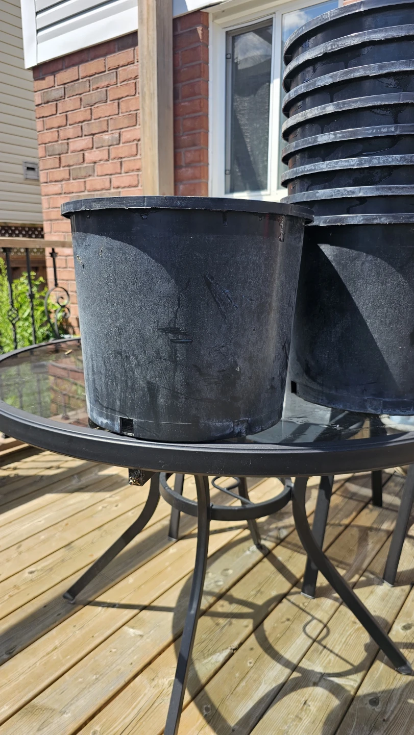 Set of 8 Black Plastic Garden Nursery Pots - photo 2