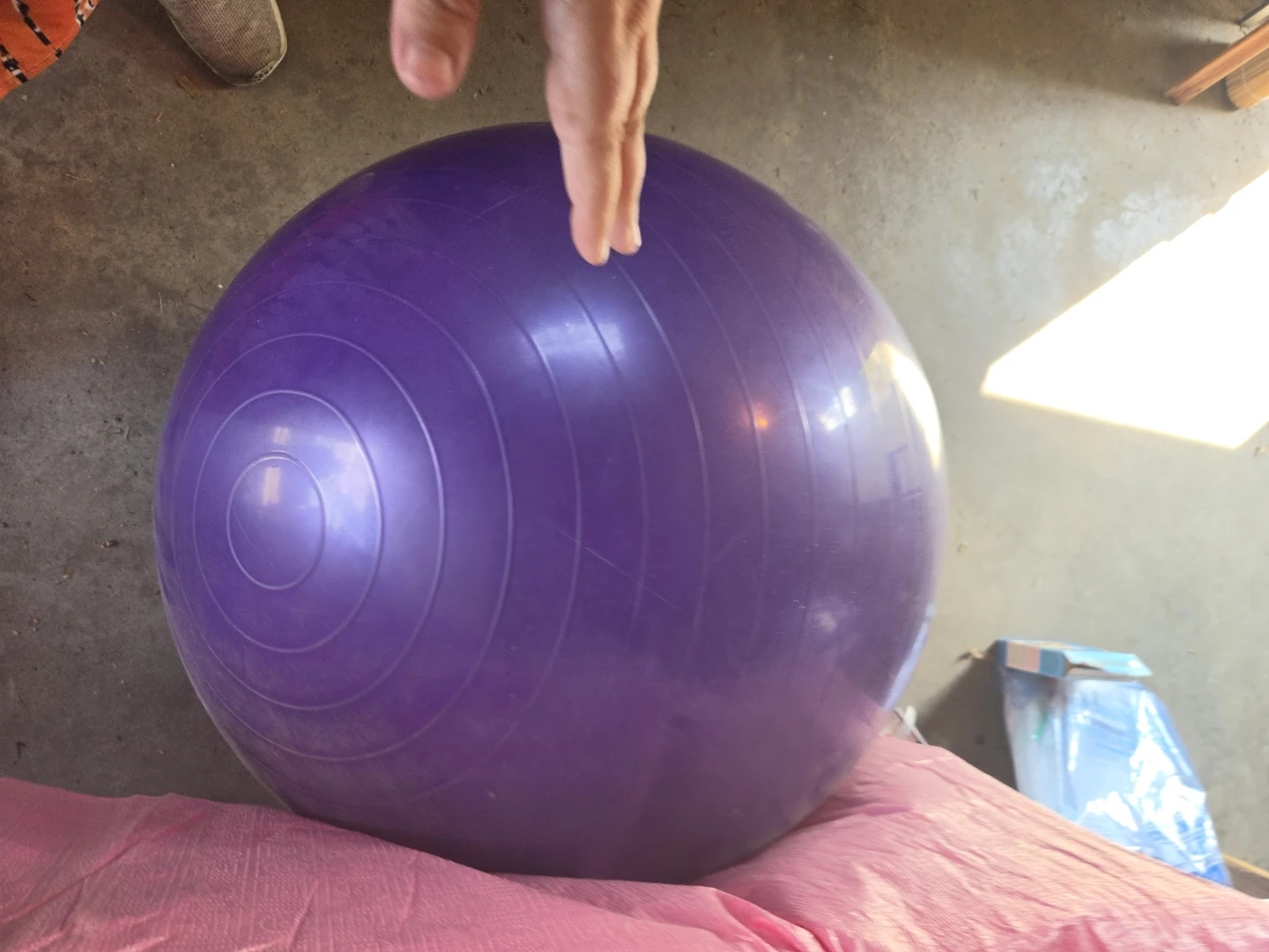 Exercise Ball - photo 2