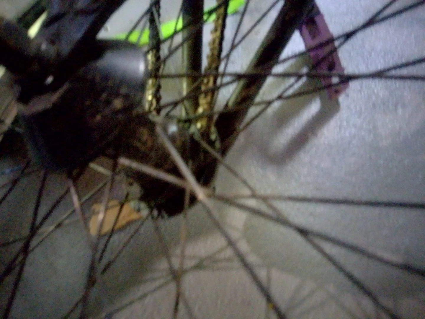 Sunday forecaster BMX