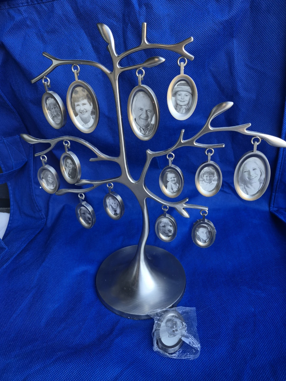 Family Tree Photo Frame Display