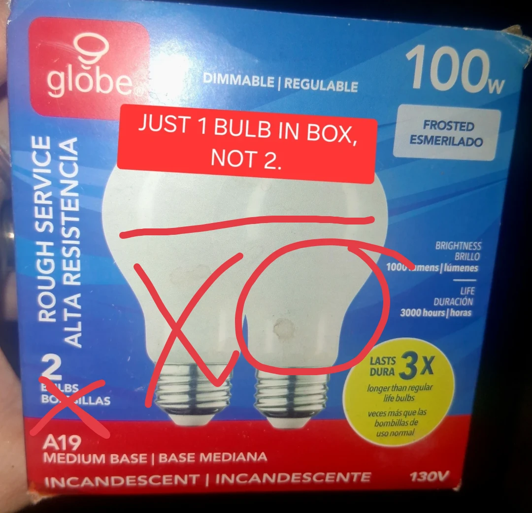 Globe 100W Frosted Incandescent Light Bulb