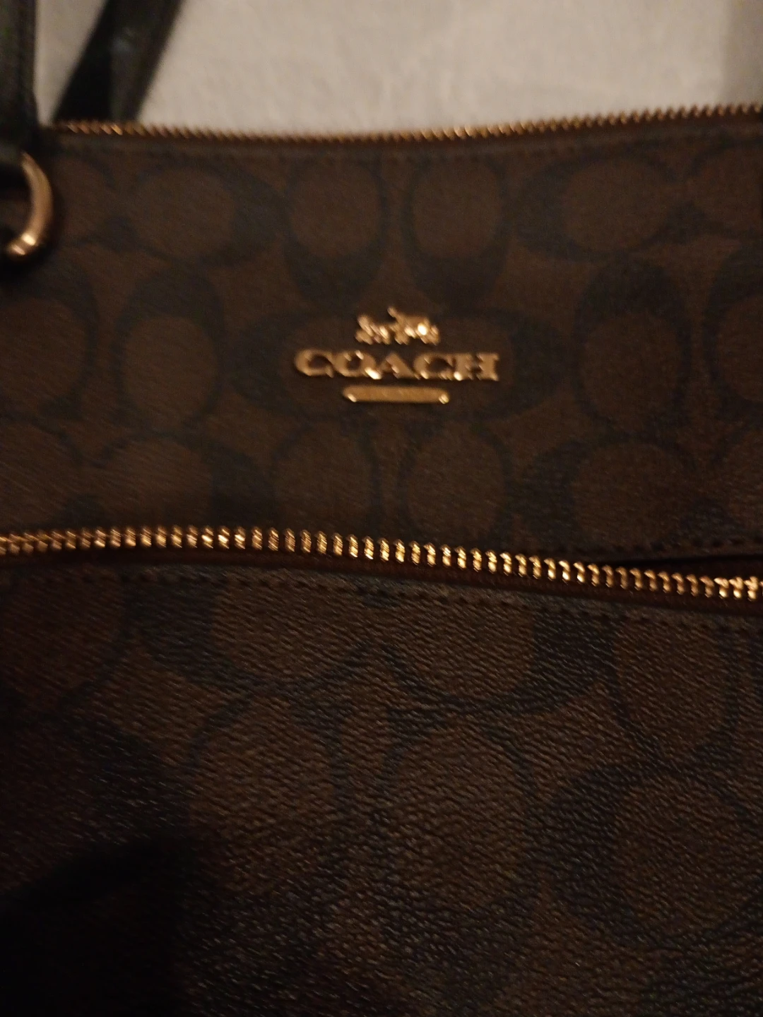 Coach Signature Tote Bag