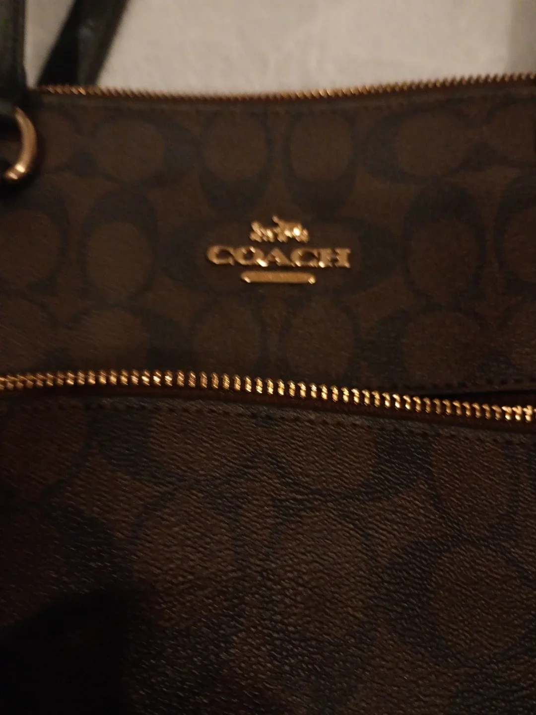 Coach Signature Tote Bag