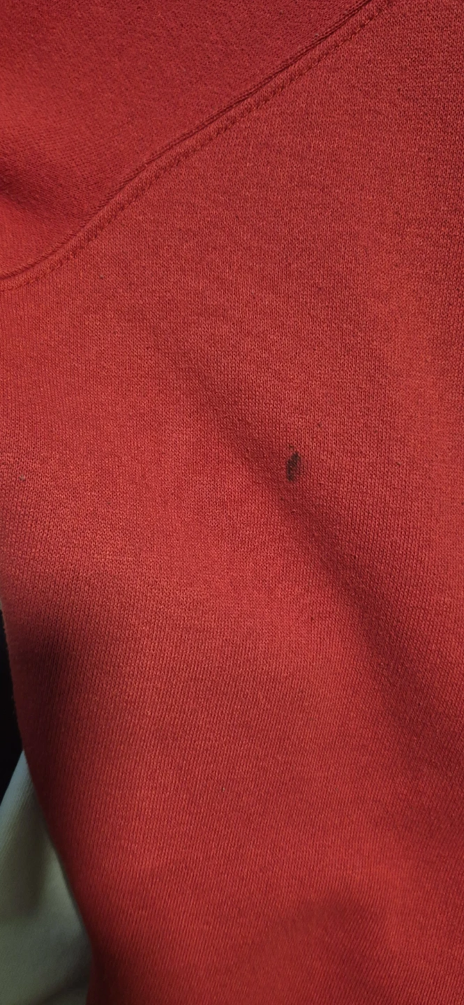 Champion Hoodie - photo 3